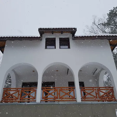 Ana Villa