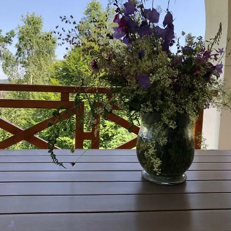 Villa Ana Divcibare