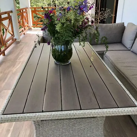 Ana Villa