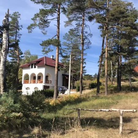 Ana Villa