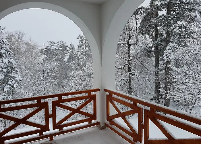 Ana Villa Divčibare