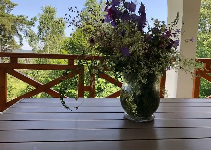 Villa Ana Divčibare